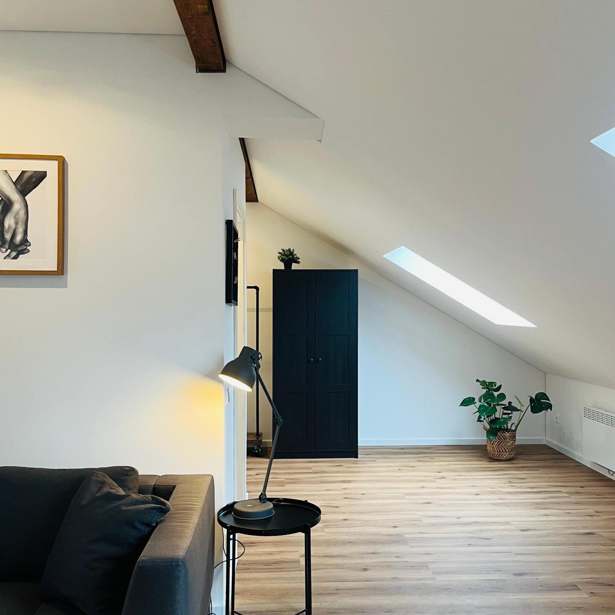 City Loft Apartment Bad Saeckingen Esterno foto